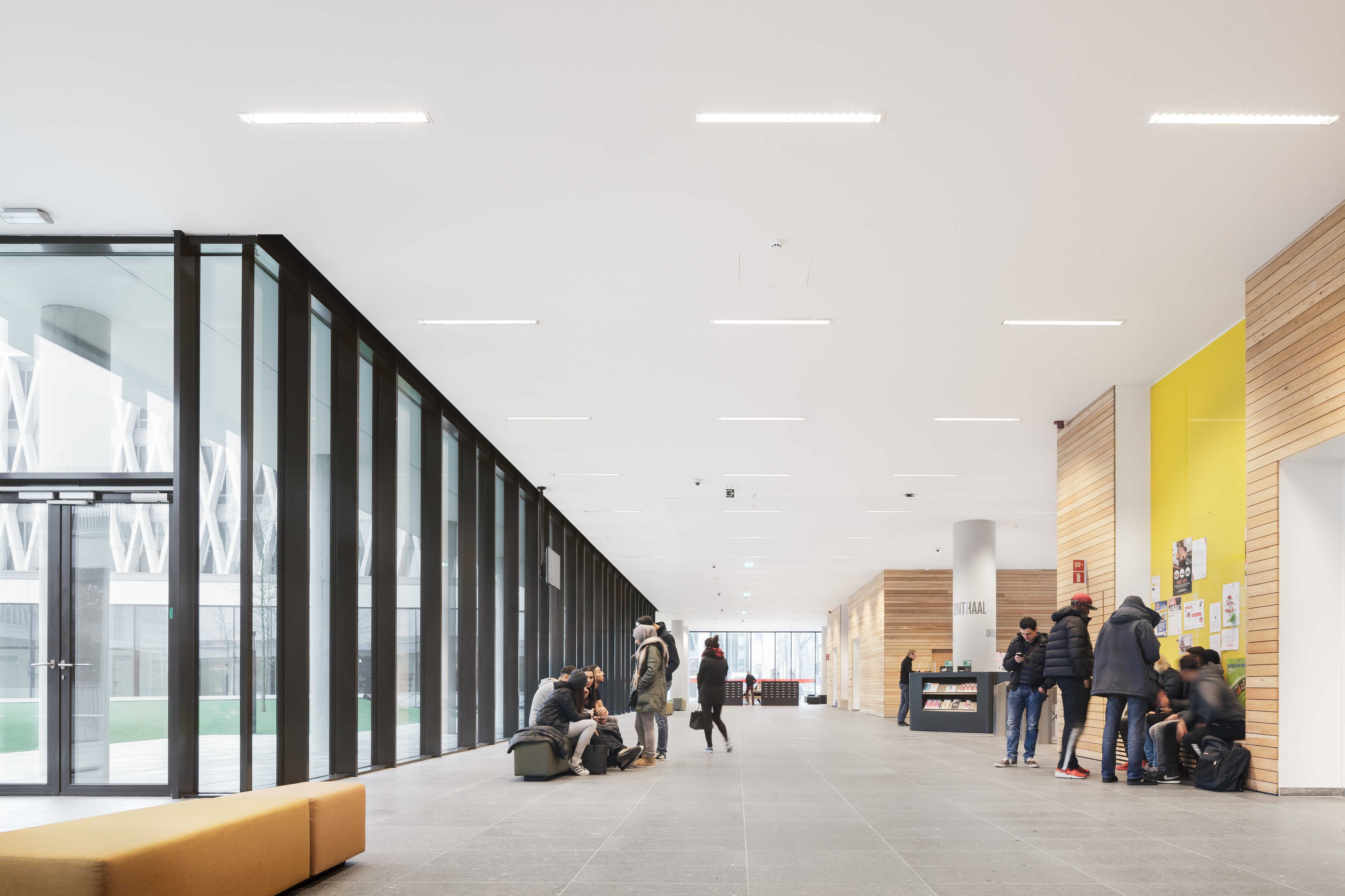 AP Hogeschool